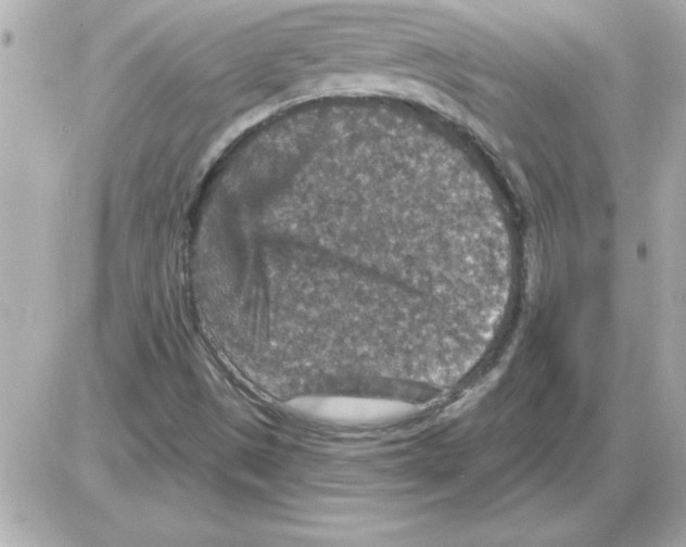 X0000085261497200704092101