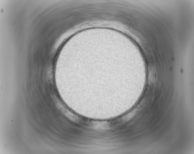 X0000085261498200704092101