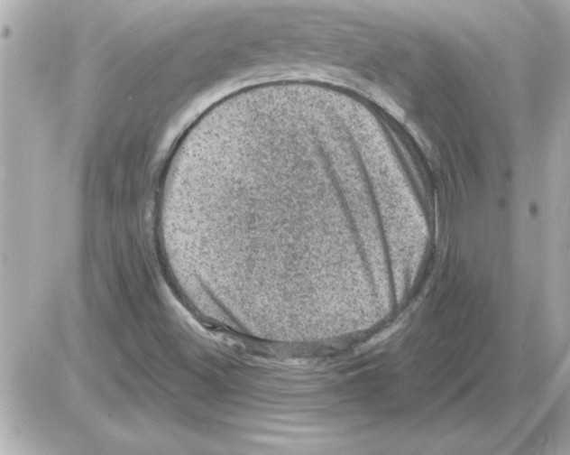 X0000085261500200704092101