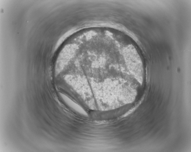 X0000085261501200704092101