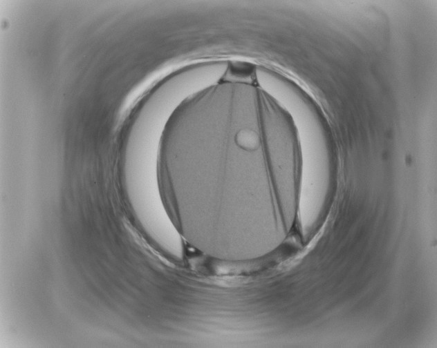 X0000085261502200704092101