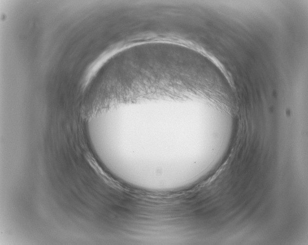 X0000085261503200704092101