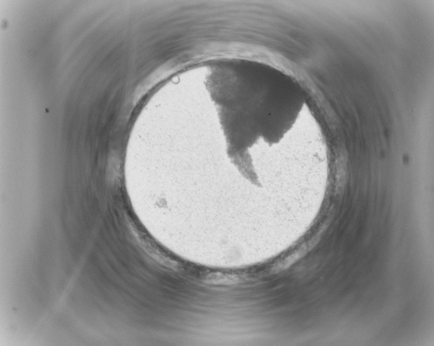 X0000085261505200704092101