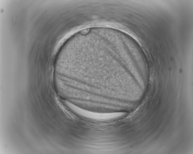 X0000085261507200704092101