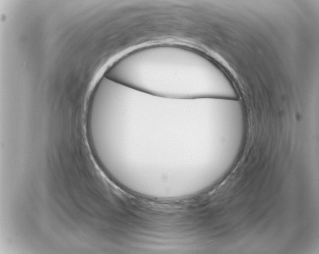 X0000085261508200704092101