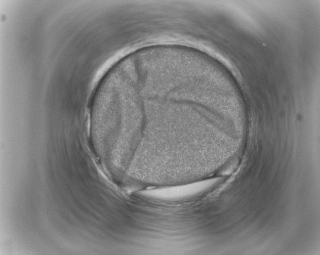 X0000085261509200704092101