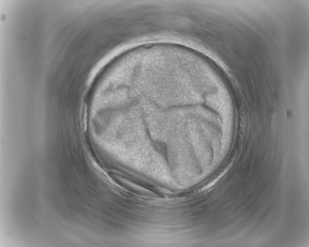 X0000085261510200704092101