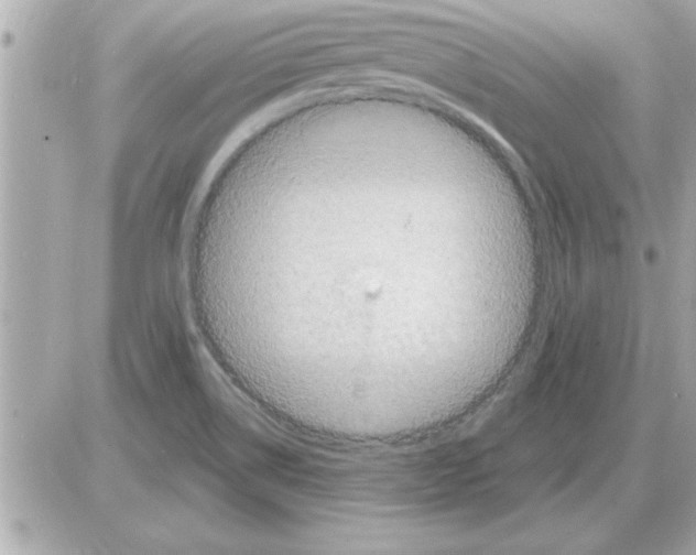 X0000085261514200704092101