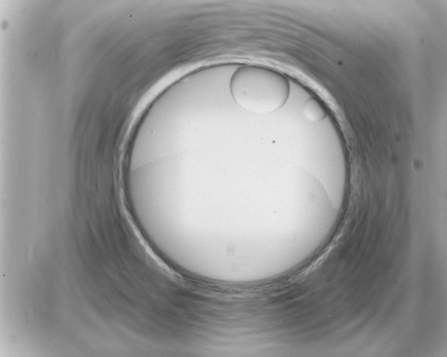 X0000085261517200704092101