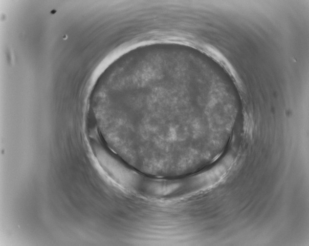 X0000085261520200704092101