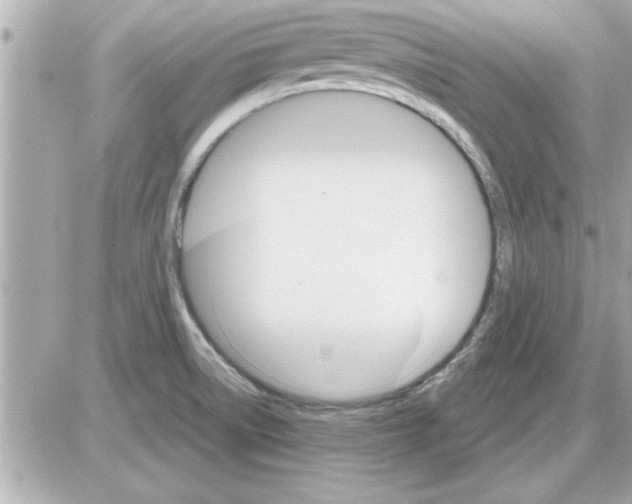 X0000085261522200704092101