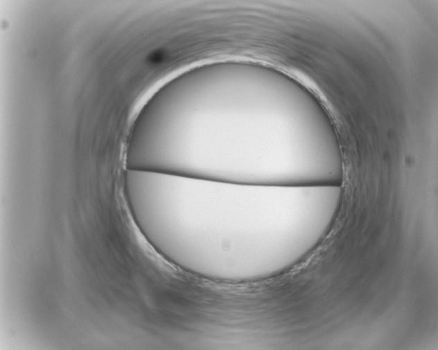 X0000085261524200704092101