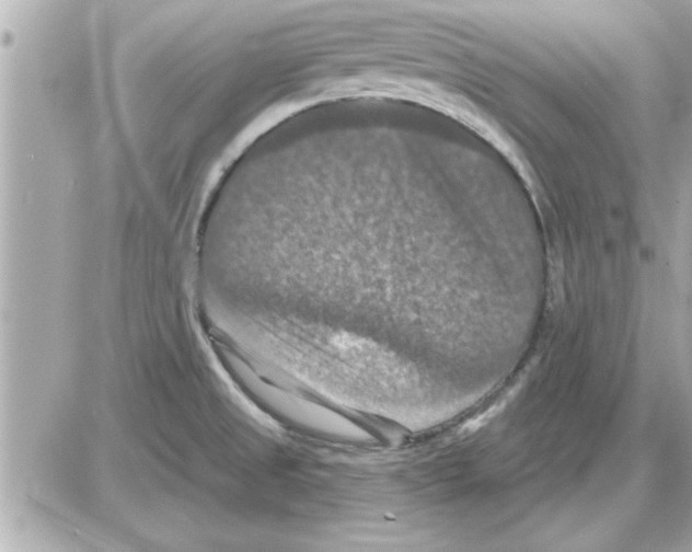 X0000085261525200704092101