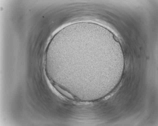 X0000085261526200704092101