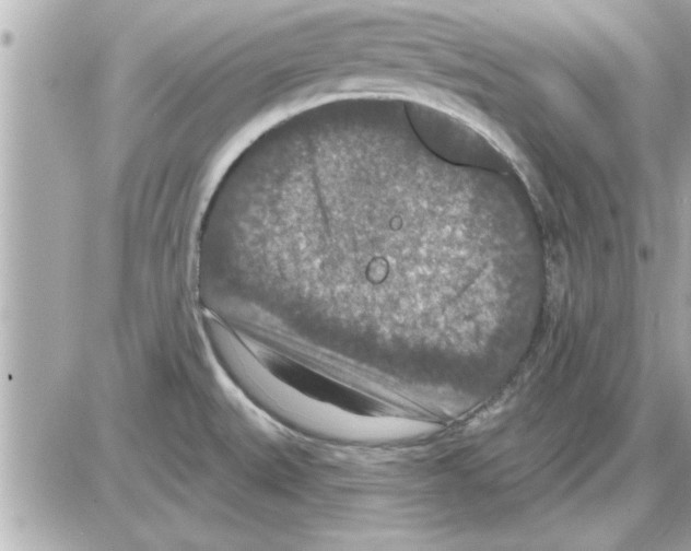 X0000085261527200704092101