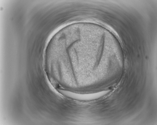 X0000085261528200704092101