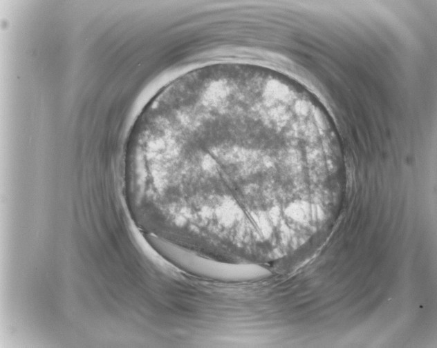 X0000085261531200704092101