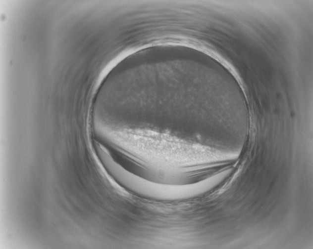 X0000085261533200704092101