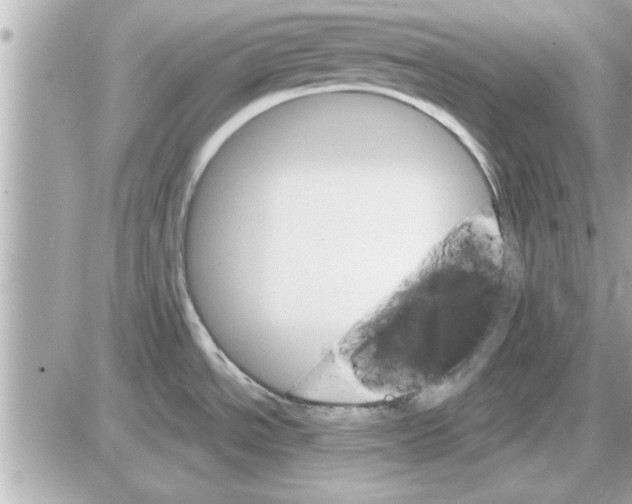 X0000085261534200704092101