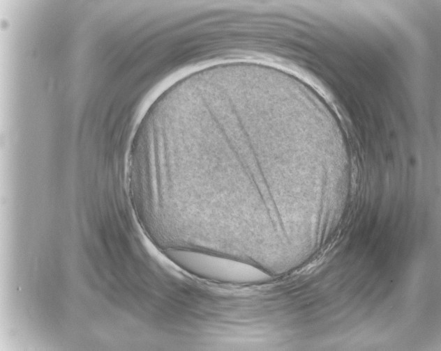 X0000085261535200704092101