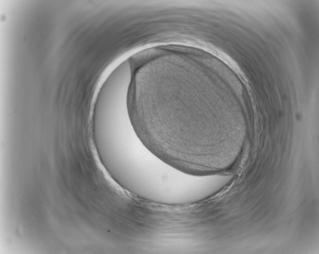 X0000085261536200704092101