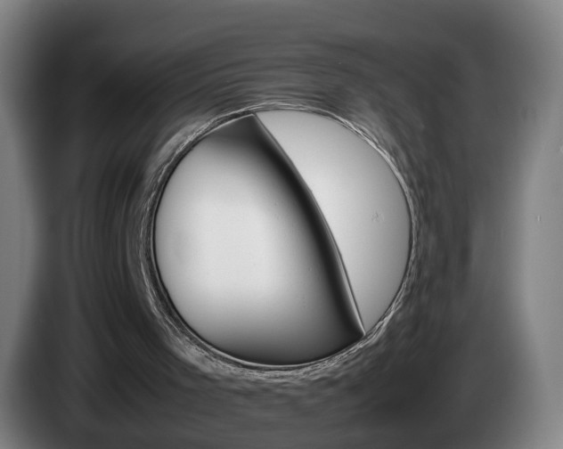 X0000085270001200703090925