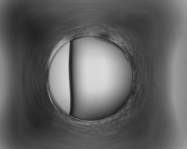 X0000085270003200703090925