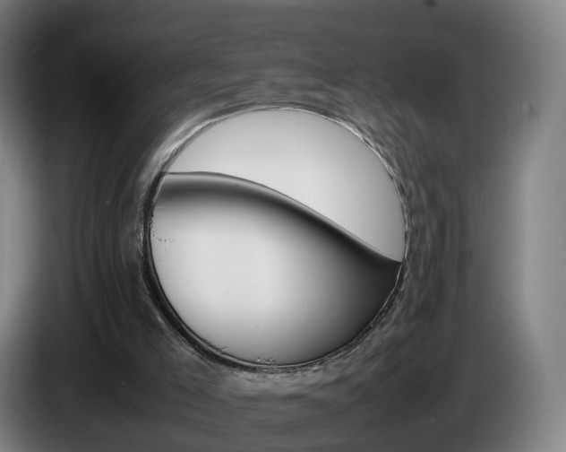 X0000085270005200703090925