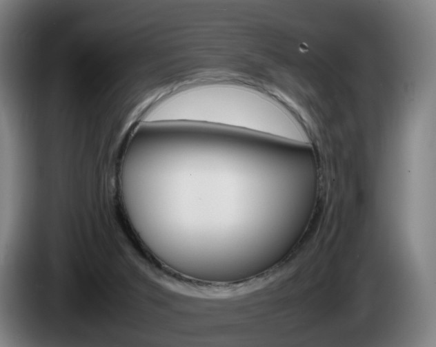 X0000085270015200703090925