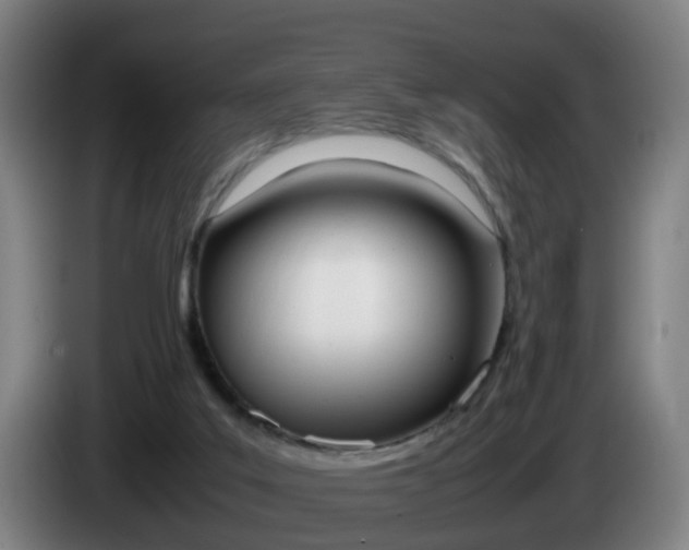 X0000085270019200703090925