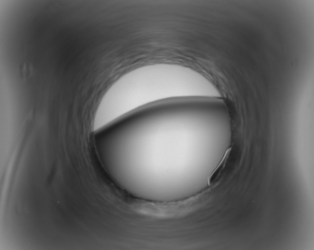 X0000085270033200703090925