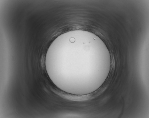 X0000085270036200703090925