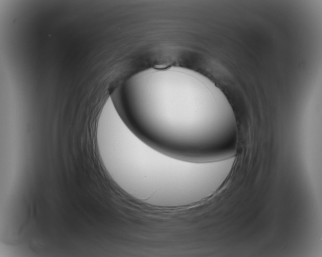 X0000085270037200703090925