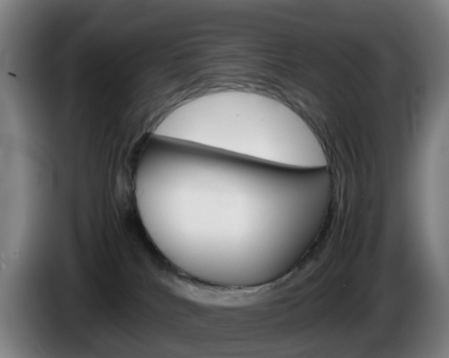 X0000085270040200703090925