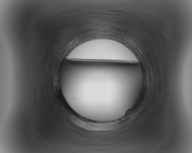 X0000085270044200703090924