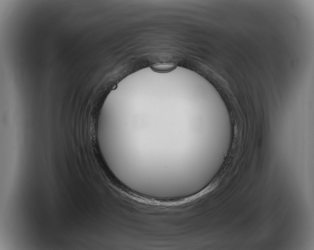 X0000085270048200703090924