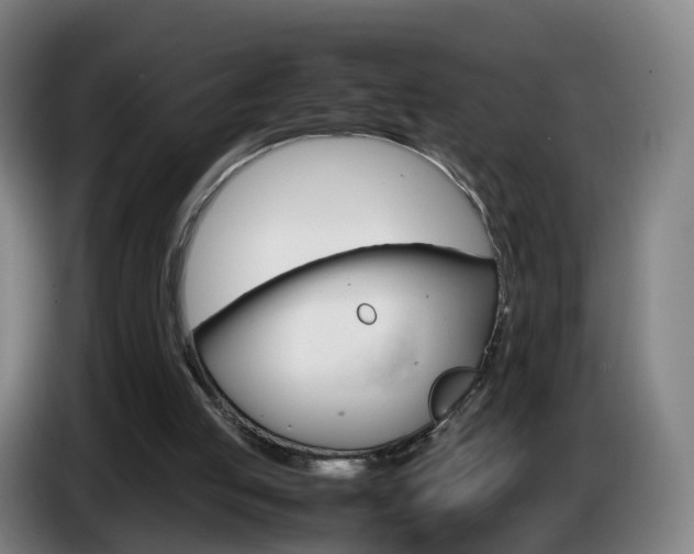 X0000085270053200703090924