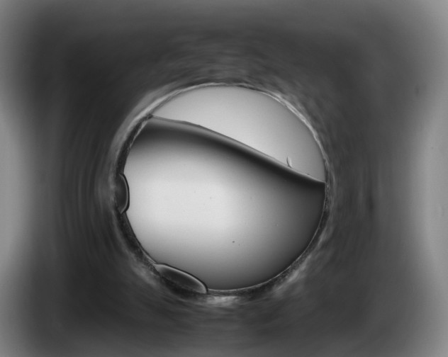 X0000085270055200703090924