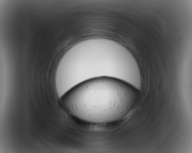 X0000085270078200703090924