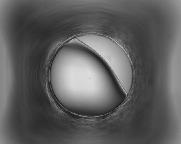 X0000085270097200703090924