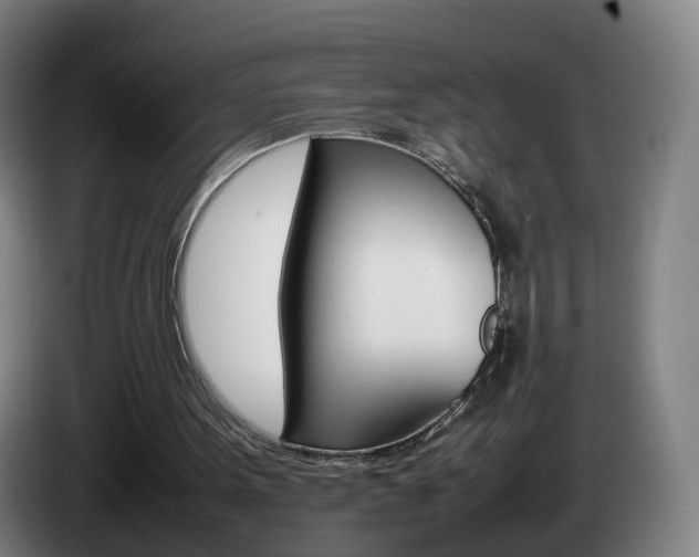 X0000085270099200703090924