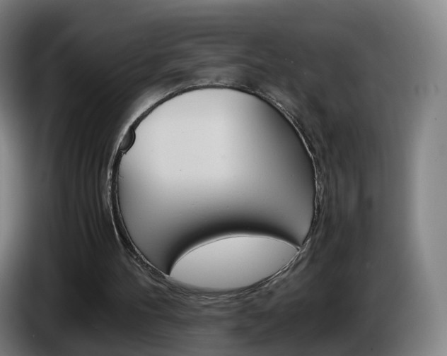 X0000085270100200703090924