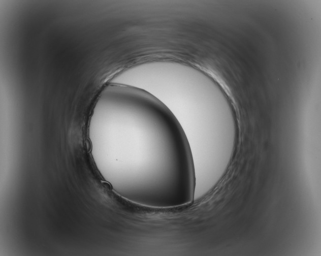 X0000085270105200703090924