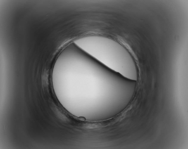 X0000085270106200703090924