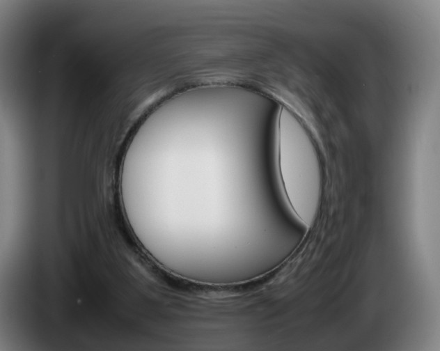 X0000085270107200703090924