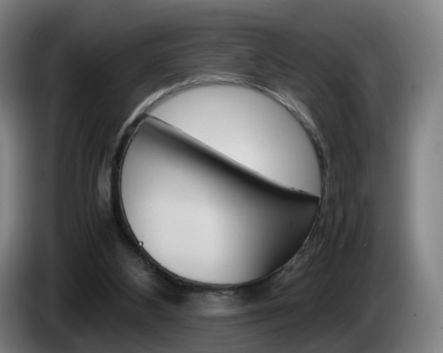 X0000085270108200703090924