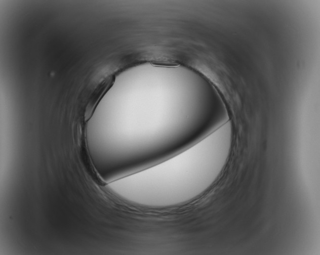 X0000085270109200703090924