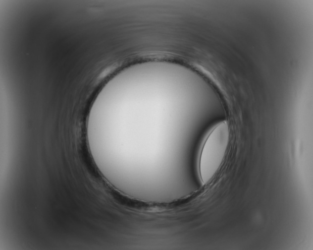 X0000085270111200703090924