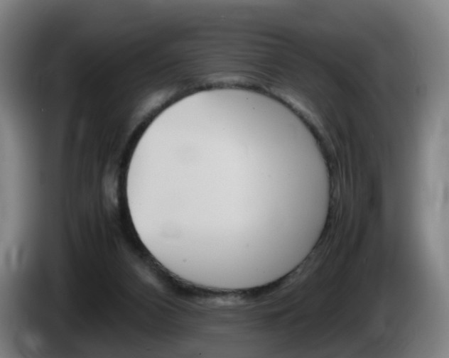 X0000085270112200703090924