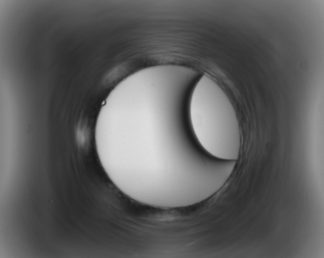 X0000085270124200703090923